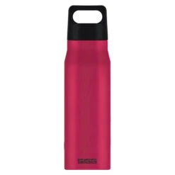 Gourde Sigg Explorer 1L Deep Magenta