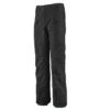 Pantalon Snow Homme Patagonia Snowshot Pant Black